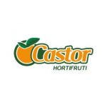 Castor Hortfruti